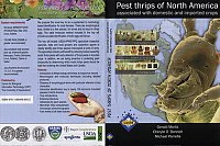 Pest thrips of North America ( GBM).